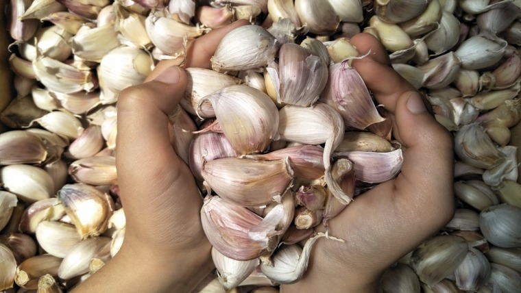 handful of garlic cloves