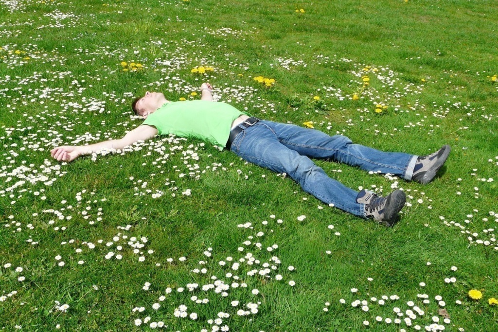 man laying on grass white & yellow flowers