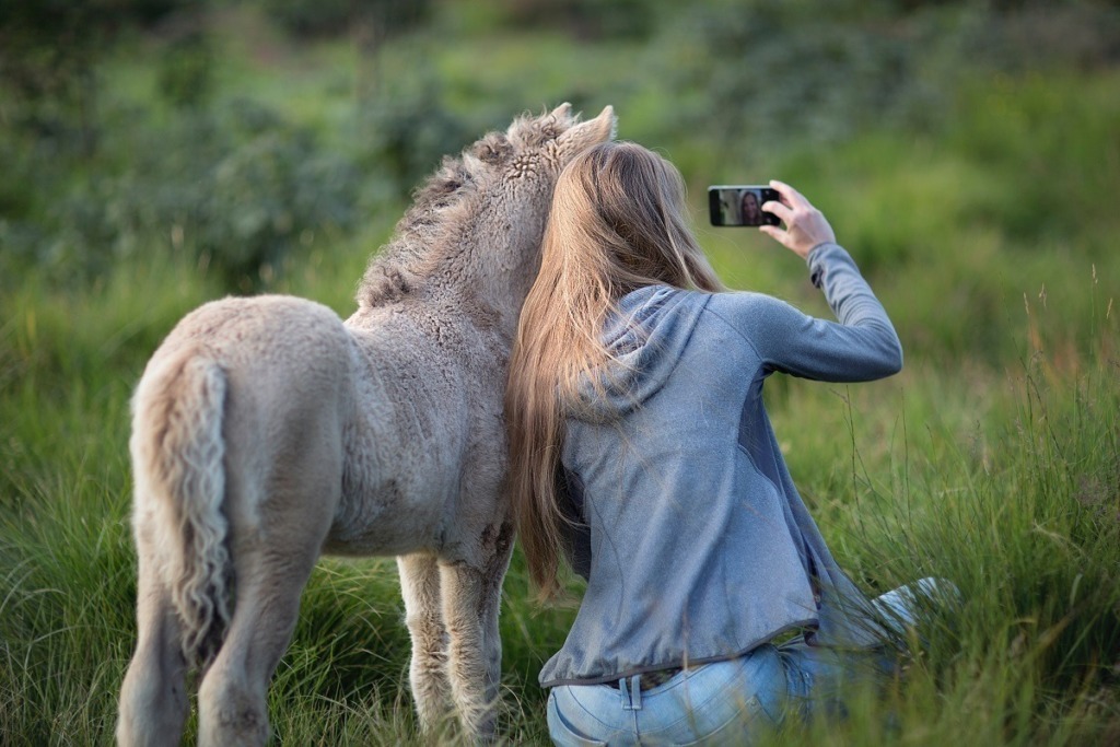 woman taking selfie with grey donkey
