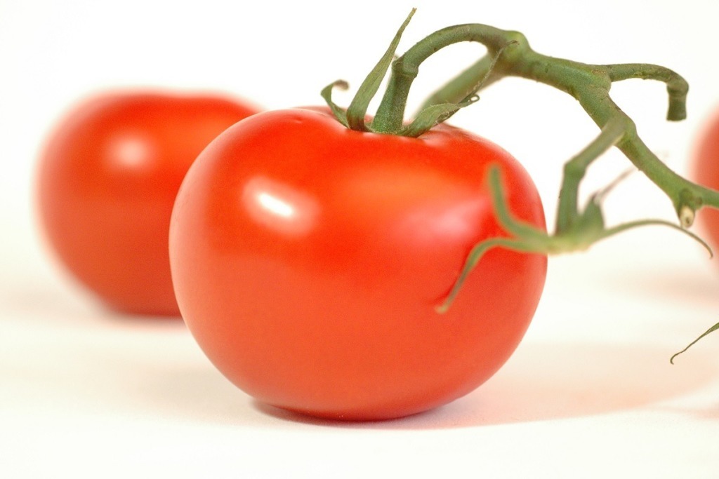organis tomato with stalk