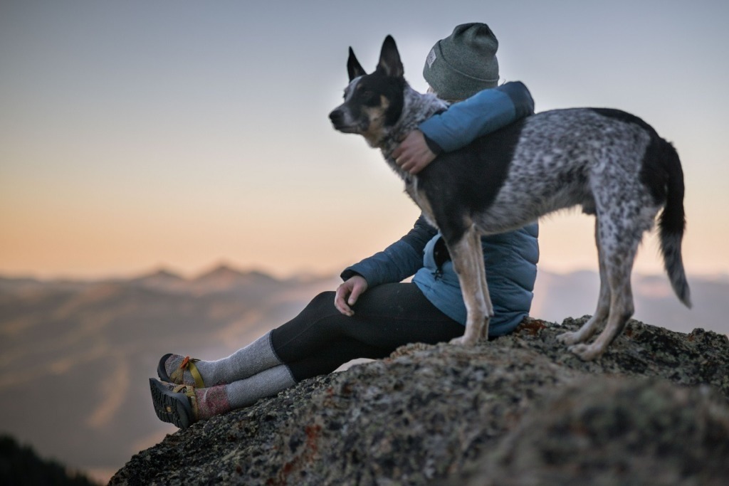 person and dog sitting on rock