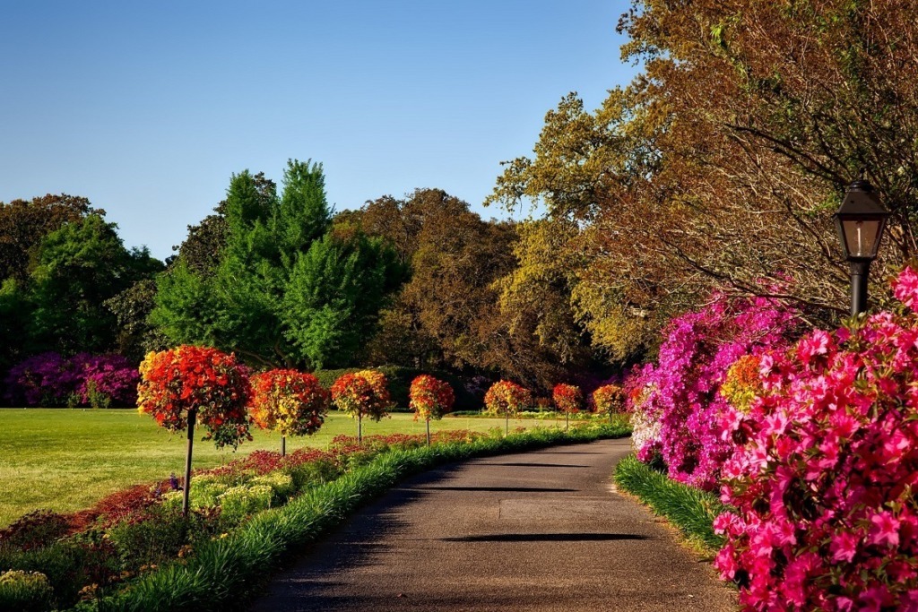 garden path with flowers in bloom