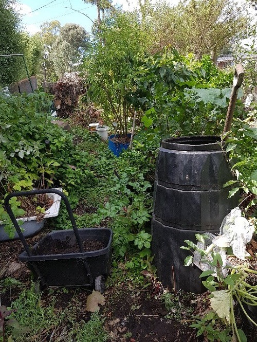 compost garden