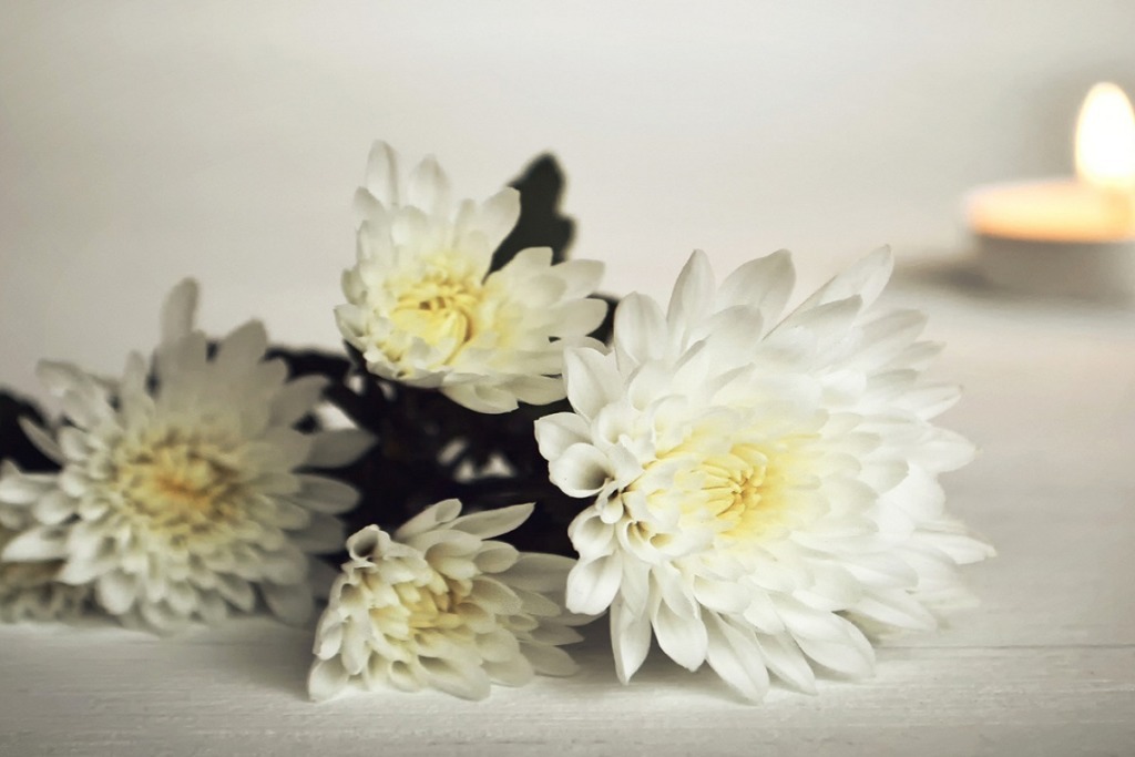 white flowers on table with candle